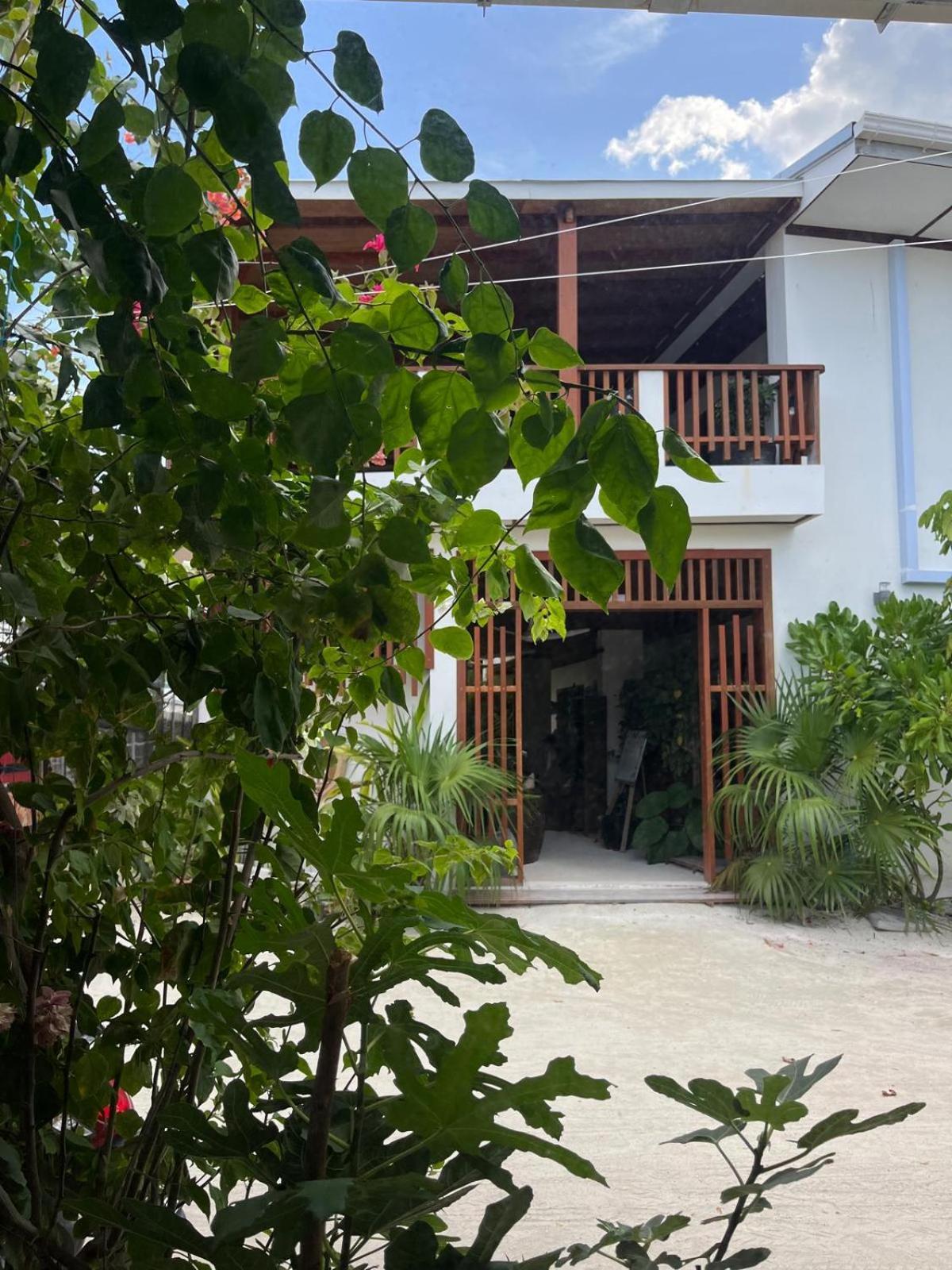Ithaa Dhigurah Maldives ديجوراه المظهر الخارجي الصورة