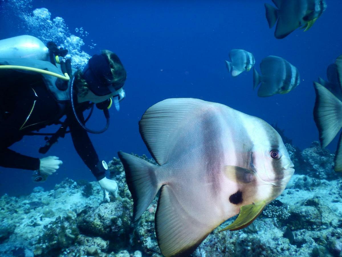 Ithaa Dhigurah Maldives ديجوراه المظهر الخارجي الصورة